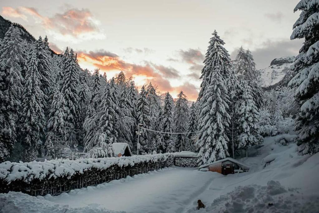 Idyllic Triglav Forest Retreat - Alps, Trails, Lakes, Falls 莫斯特拉纳 外观 照片